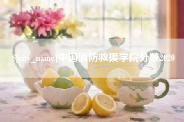 瑞安中国消防救援学院分数2020