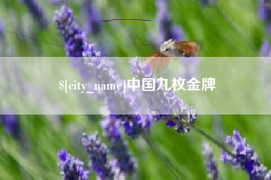 瑞安中国九枚金牌