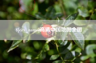 瑞安高清中国地图全图