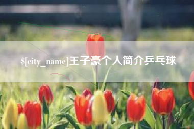 瑞安王子豪个人简介乒乓球