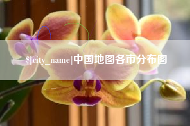 瑞安中国地图各市分布图