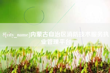 瑞安内蒙古自治区消防技术服务执业管理平台