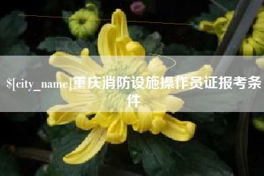 瑞安重庆消防设施操作员证报考条件