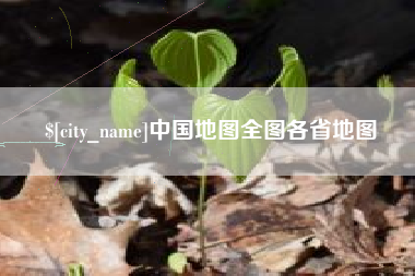 瑞安中国地图全图各省地图