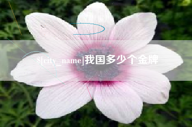 瑞安我国多少个金牌