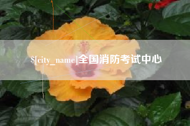 瑞安全国消防考试中心