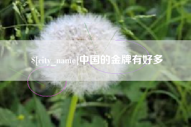 瑞安中国的金牌有好多