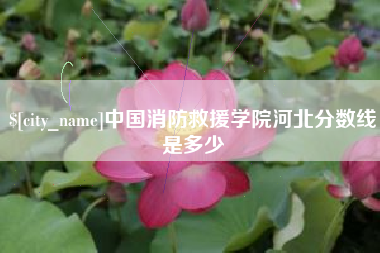 瑞安中国消防救援学院河北分数线是多少