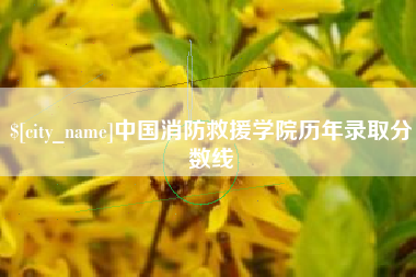 瑞安中国消防救援学院历年录取分数线