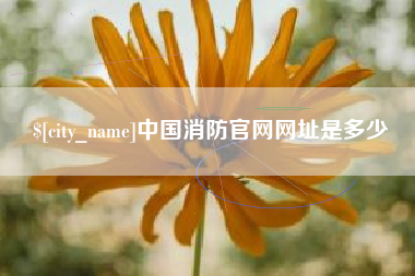 瑞安中国消防官网网址是多少