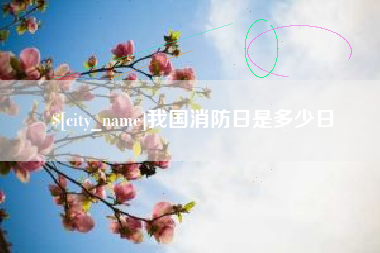 瑞安我国消防日是多少日