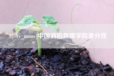 瑞安中国消防救援学院录分线