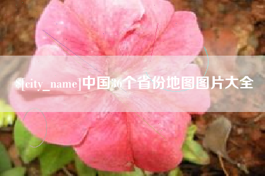 瑞安中国36个省份地图图片大全