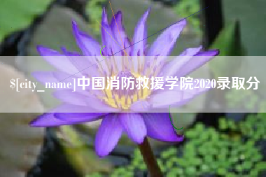 瑞安中国消防救援学院2020录取分