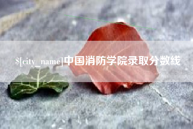 瑞安中国消防学院录取分数线