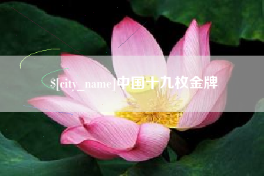 瑞安中国十九枚金牌