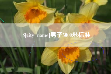 瑞安男子5000米标准