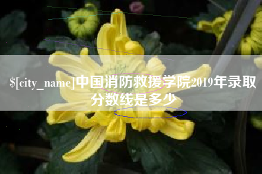 瑞安中国消防救援学院2019年录取分数线是多少