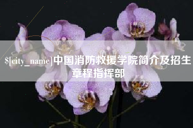 瑞安中国消防救援学院简介及招生章程指挥部