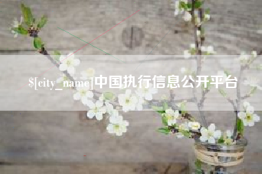 瑞安中国执行信息公开平台