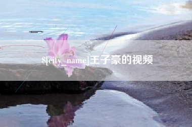 瑞安王子豪的视频