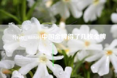 瑞安中国金牌得了几枚金牌