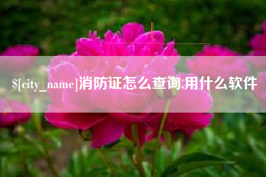 瑞安消防证怎么查询,用什么软件