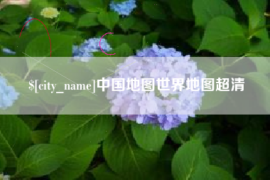 瑞安中国地图世界地图超清