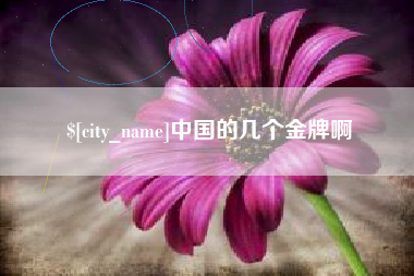 瑞安中国的几个金牌啊
