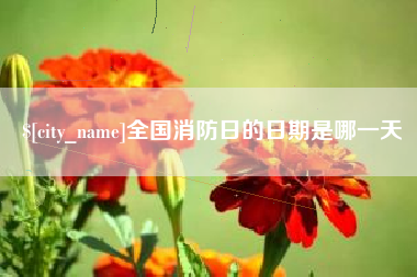 瑞安全国消防日的日期是哪一天