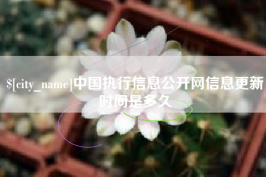 瑞安中国执行信息公开网信息更新时间是多久