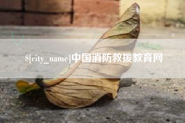 瑞安中国消防救援教育网