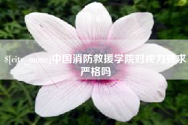瑞安中国消防救援学院对视力要求严格吗