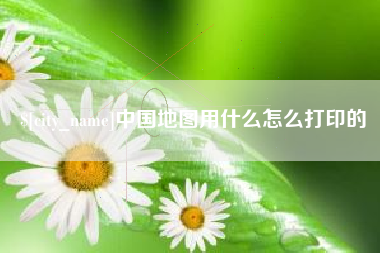 瑞安中国地图用什么怎么打印的