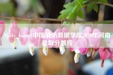 瑞安中国消防救援学院2020年河南录取分数线
