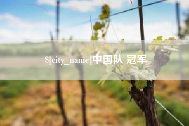 瑞安中国队 冠军