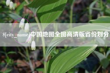 瑞安中国地图全图高清版省份划分
