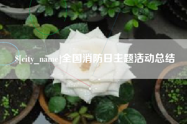 瑞安全国消防日主题活动总结