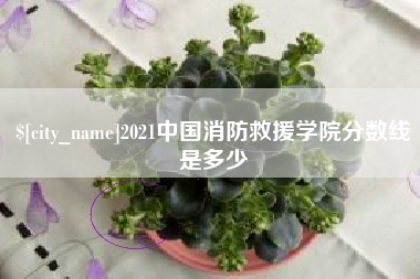 瑞安2021中国消防救援学院分数线是多少