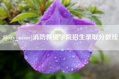 瑞安消防救援学院招生录取分数线
