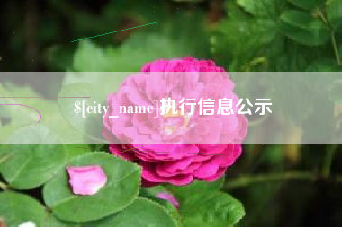 瑞安执行信息公示