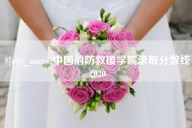 瑞安中国消防救援学院录取分数线2020