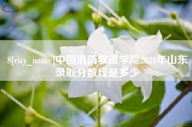 瑞安中国消防救援学院2021年山东录取分数线是多少