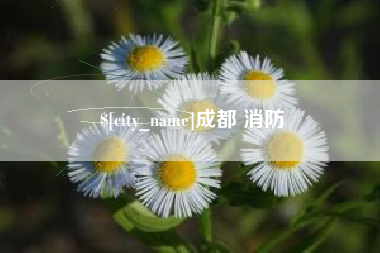 瑞安成都 消防