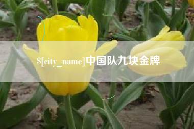 瑞安中国队九块金牌