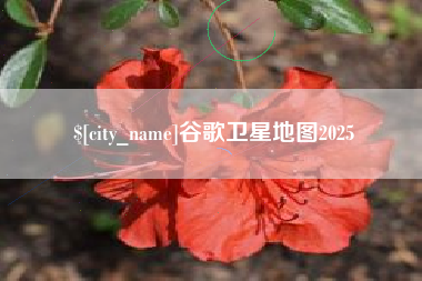 瑞安谷歌卫星地图2025
