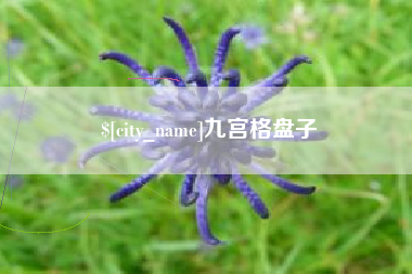 瑞安九宫格盘子