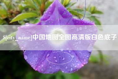 瑞安中国地图全图高清版白色底子
