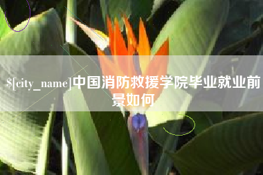 瑞安中国消防救援学院毕业就业前景如何