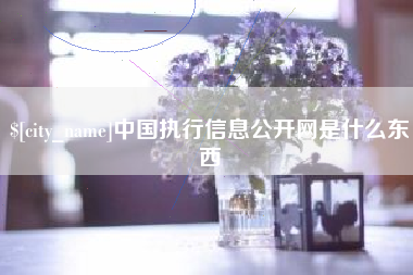 瑞安中国执行信息公开网是什么东西